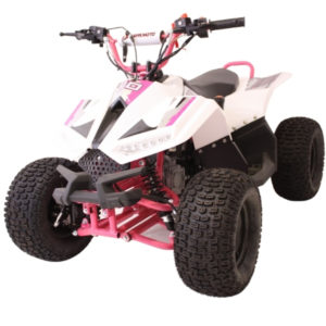 Pre Built Girls Pink 100cc 4-Stroke Petrol Automatic Off Road Quad Bike teenager