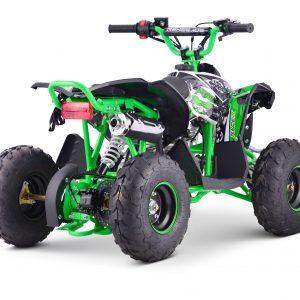 sale Pre Built Black & Green 100cc 4-Stroke Petrol Automatic Off Road Quad Bike