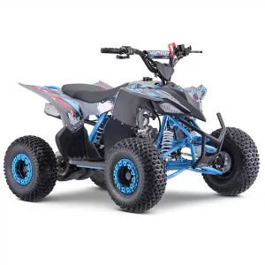 1 Blue 12+ Teenager 125cc Automatic 4 Stroke Petrol Quad Bike 25mph