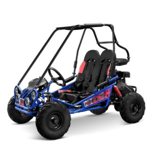 Blue 2 Seat Petrol Power 4 Stroke Go Kart All Terrain Vehicle