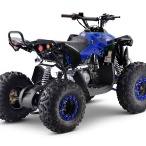 Blue 25 MPH - Teenager Adult 125cc 4-Stroke Petrol Quad with Passenger Bar