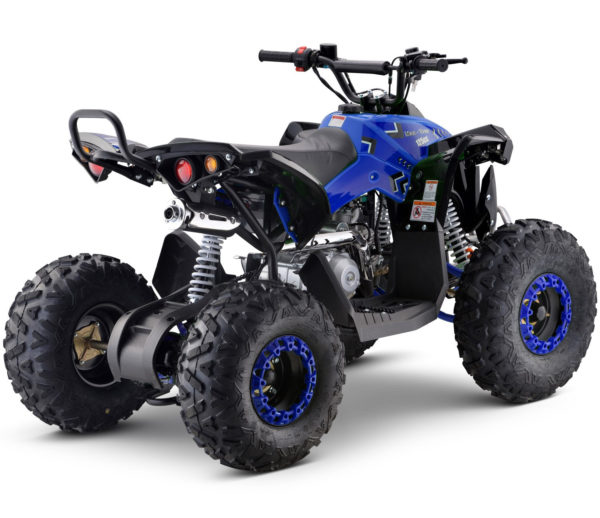 Blue 25 MPH - Teenager Adult 125cc 4-Stroke Petrol Quad with Passenger Bar