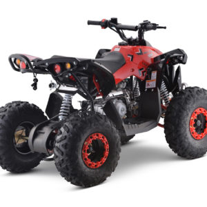 Red 25 MPH - Teenager Adult 125cc 4-Stroke Petrol Quad with Passenger Bar