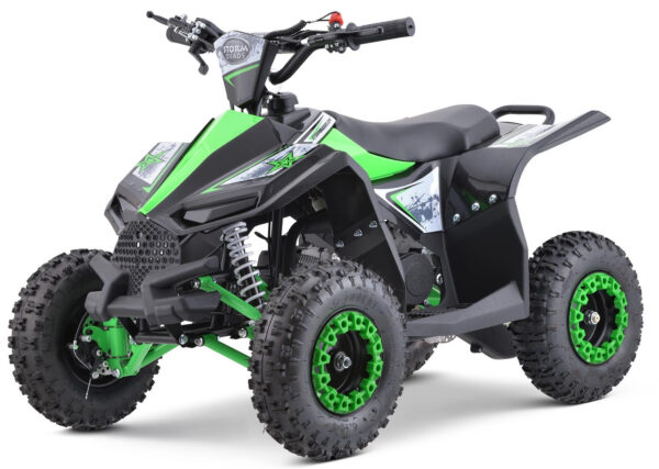 Renegade Ranger 50cc Kids Mini Petrol Quad Bike