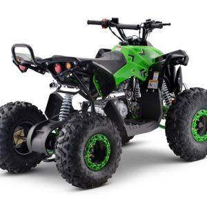 Green 25 MPH Teenager Adult 125cc 4-Stroke Petrol Quad with Passenger Bar