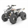 100cc SMC Quality White 2-Stroke Teens Petrol Quad Bike